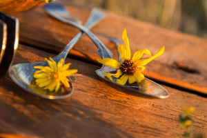 Spoons Flowers